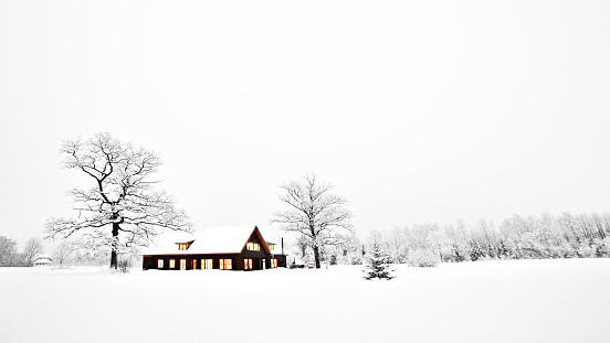 Illuminated house in wintery scene with christmas tree beside it. Canon 1Ds Mark III