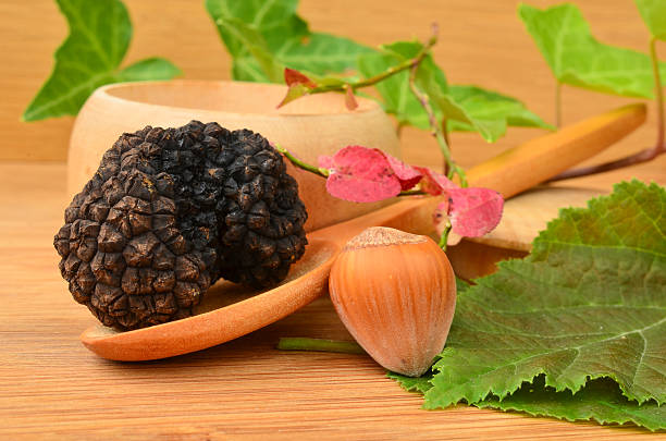 truffle and hazelnut - truffle tuber melanosporum mushroom 個照片及圖片檔