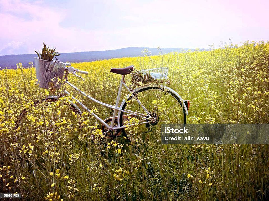 Bike Rainbow Stock Photo