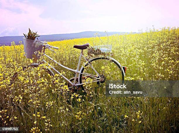 Bike Stock Photo - Download Image Now - Rainbow, Agricultural Field, Agriculture