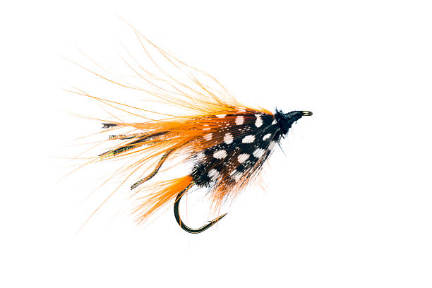 istock Hand Made Fly Fishing Lures Isolated on White Background 518999898