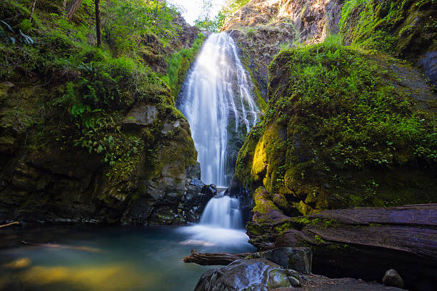 istock Susan Creek Falls Oregon 519000638