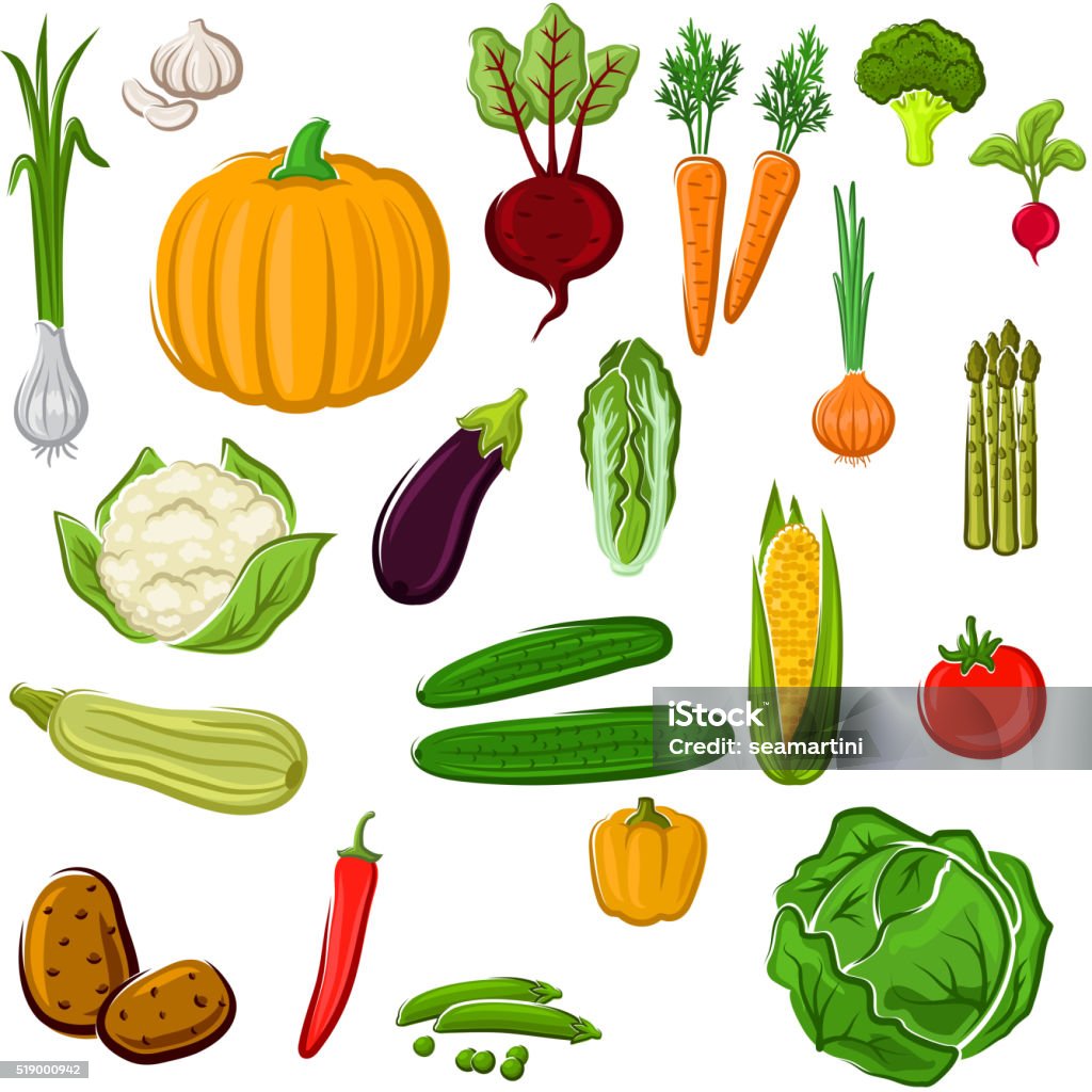 Farm vegetables for agriculture design Tomato and pepper, eggplant and cabbage, corn and potato, onion and pumpkin, beet and carrot, broccoli and cauliflower, garlic and radish, asparagus and green pea, cucumber, chinese cabbage and zucchini vegetables for agriculture or cooking design Agriculture stock vector