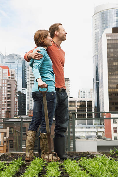 istock Couple working on roof garden 519001192