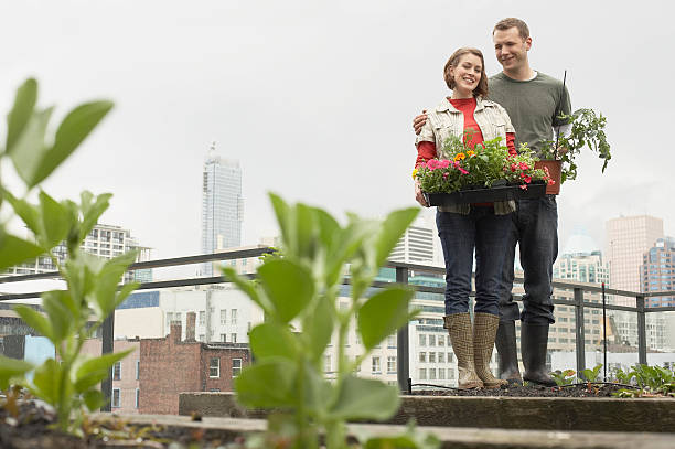 istock Couple in roof garden 519002014