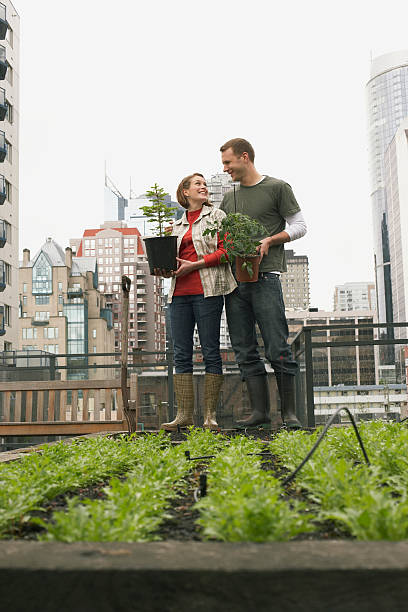 istock Couple gardening on roof 519002182
