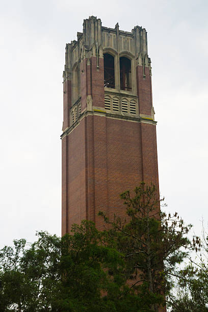 icónico torre em uf6 - university of florida imagens e fotografias de stock
