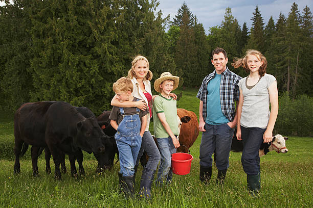 Family standing near cattle on farm Family standing near cattle on farm the farmer and his wife pictures stock pictures, royalty-free photos & images
