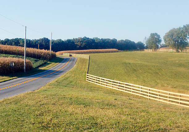 istock New Fence and Amish Buggy 519004204