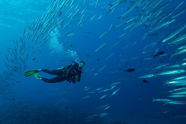 palau de micronesia - islas-rocosas fotografías e imágenes de stock