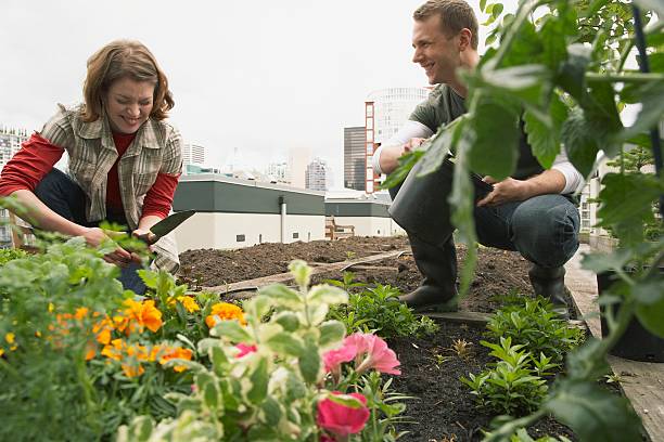 istock Man and woman gardening 519004790