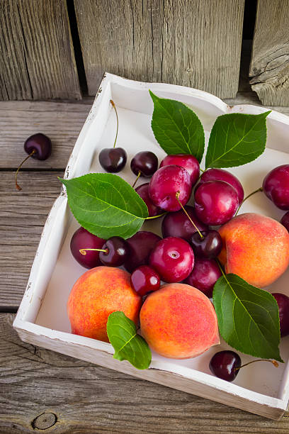 istock Ripe peaches, plums and cherries in a white tray 519004842