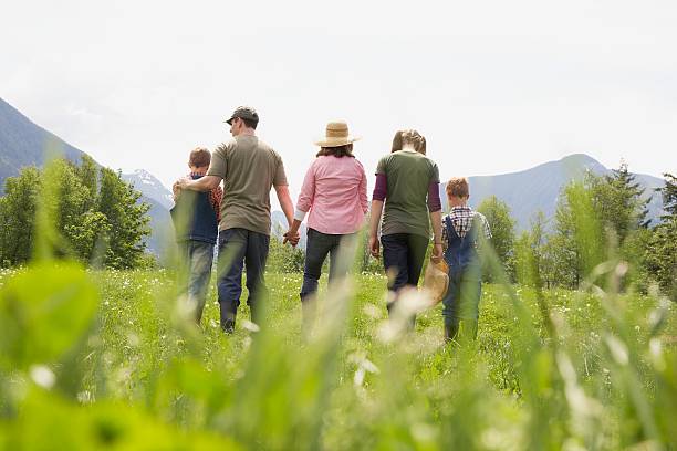 istock Family walking in field 519005188