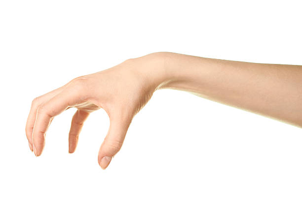 istock Female caucasian hand gesture isolated 519005804