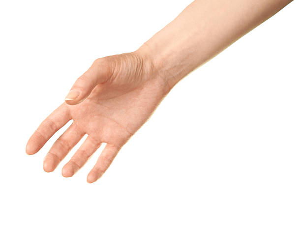istock Female caucasian hand gesture isolated 519005940