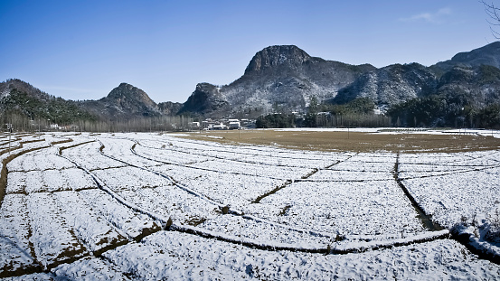 Winter Shore