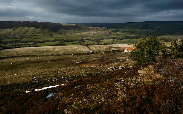 istock North York Moors at dawn, Glaisdale, Yorkshire, UK. 519007515