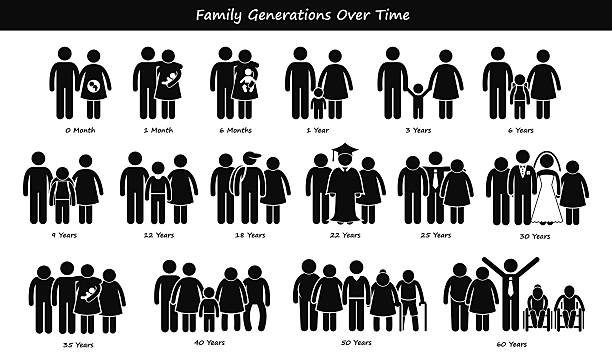 familie generationen entwicklungsstufen prozess im laufe der zeit - senior couple senior adult senior women grandmother stock-grafiken, -clipart, -cartoons und -symbole