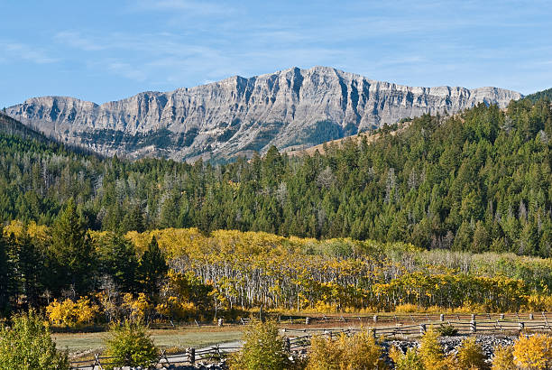 rocky mountain przodu zakresu w jesień - mountain montana mountain peak mountain range zdjęcia i obrazy z banku zdjęć