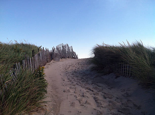 istock Dunes at Napatree Point Conservation Area, Westerly, Rhode Island 519008483