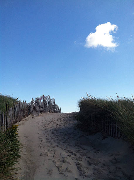 istock Dunes at Napatree Point Conservation Area, Westerly, Rhode Island 519008591