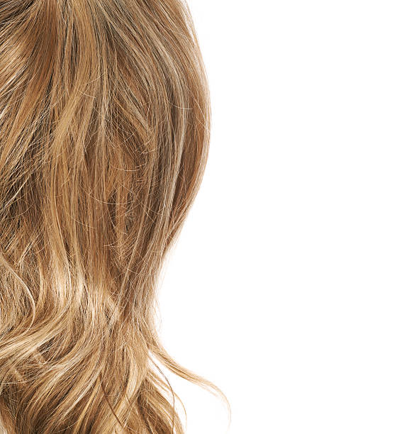 istock Hair fragment over the white 519010034