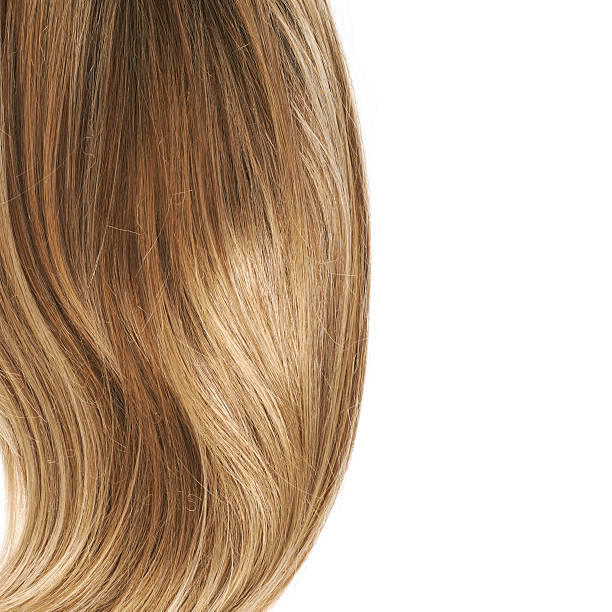 istock Hair fragment over the white 519010122