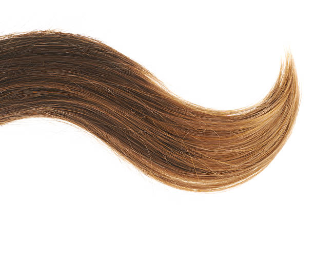 istock Hair fragment over the white 519010344