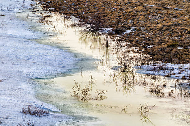 Snowmelt pooling along the Delta River stock photo