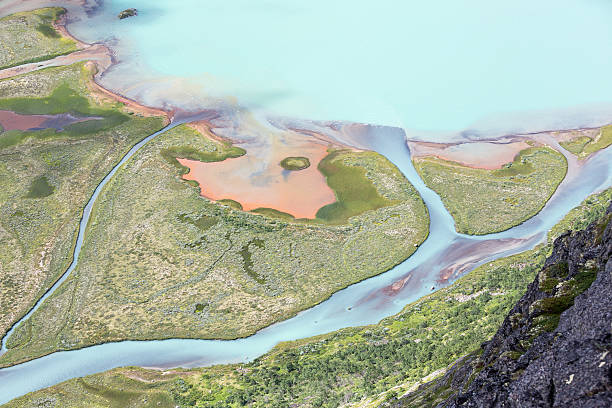 istock Swamp seen from Knutsho mountain (Jotunheimen National Park, Nor 519010713