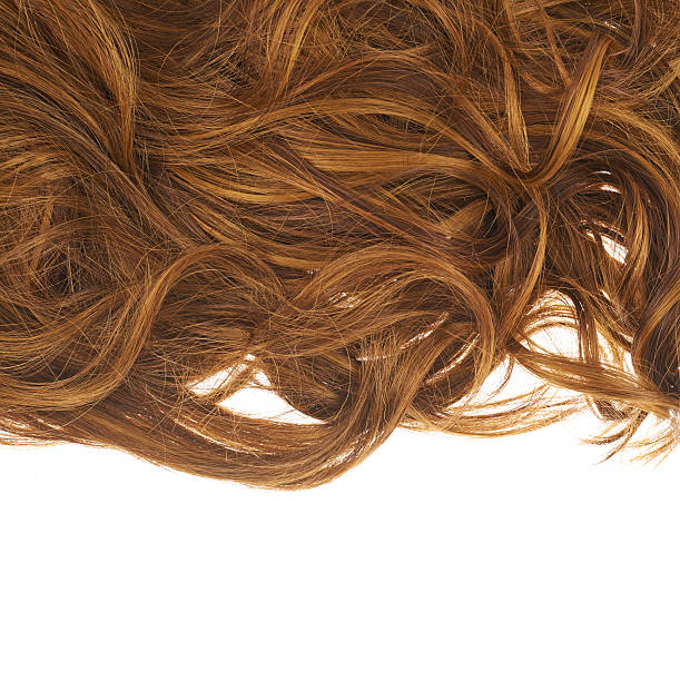 istock Hair fragment over the white 519011520