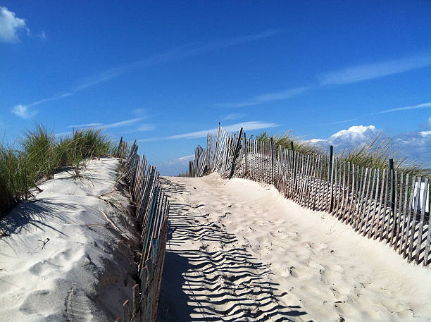 istock Dunes at Napatree Point Conservation Area, Westerly, Rhode Island 519012457