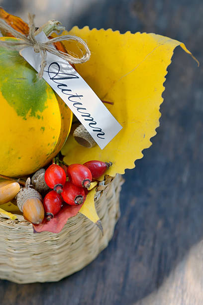istock decorative pumpkins and autumn leaves 519012837