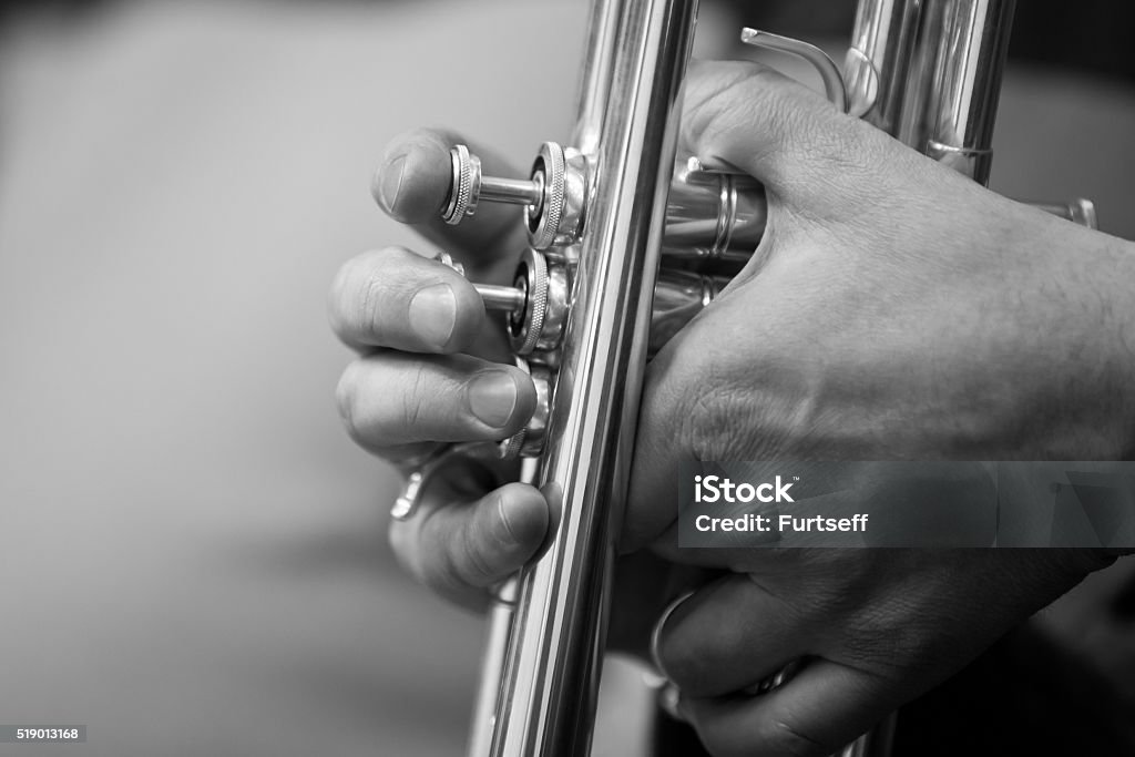 The trumpet in the hands of a musician  The trumpet in the hands of a musician in black and white Adult Stock Photo