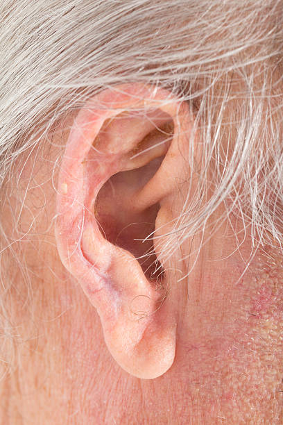 Senior Mans Ear A senior mans ear Earlobe stock pictures, royalty-free photos & images