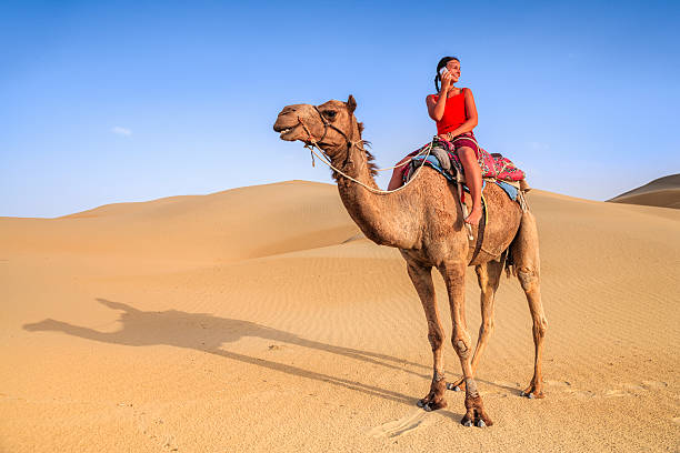 istock Young female tourist using mobile on a camel, Rajasthan, India 519014978