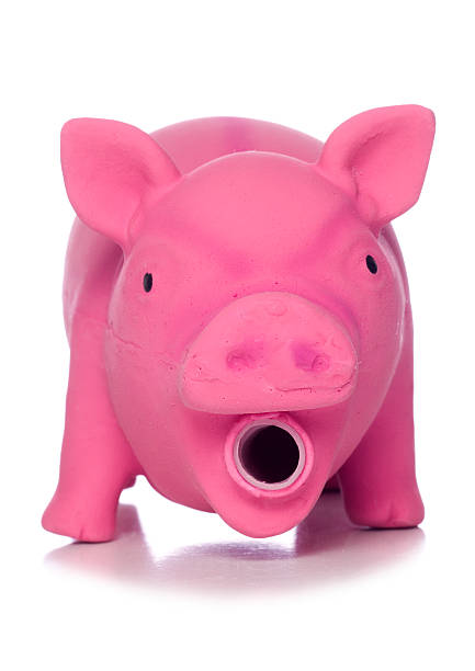 istock pink pig dog toy cutout 519026771