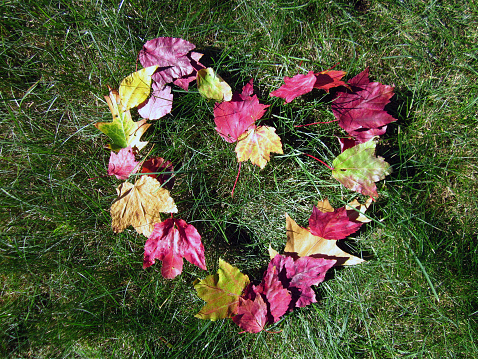 Fall leaves in the grass in the shape of a heart