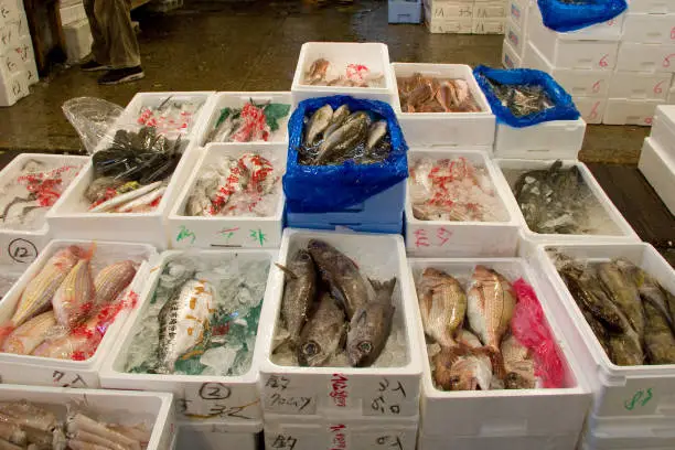 Photo of Boxes of fish at Tsukiji market in Tokyo, Japan