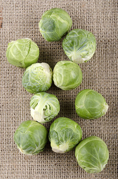 bruselas sobre un paño del yute sprouts - brussels sprout raw brown close up fotografías e imágenes de stock