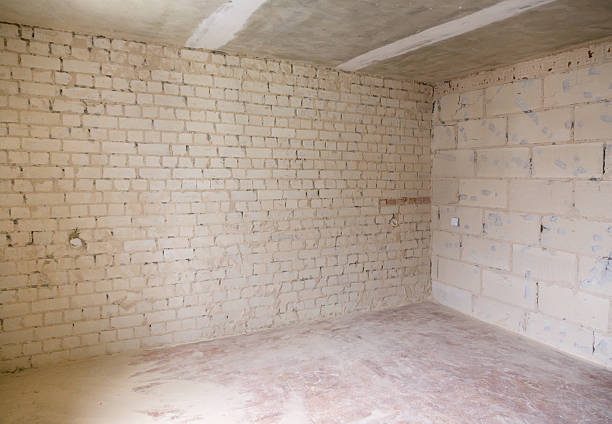 istock repairs in the apartment 519031447