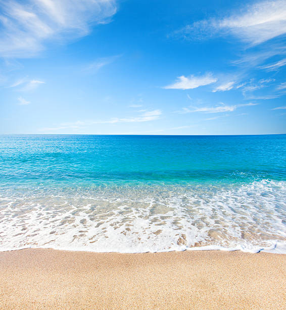 istock beach and tropical sea 519041394