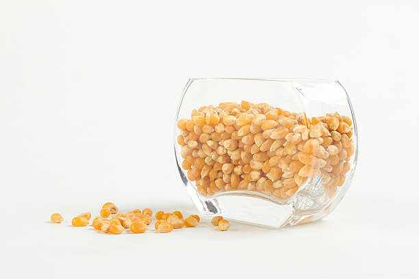 istock yellow corn seed for popcorn in a glass bowl 519042132