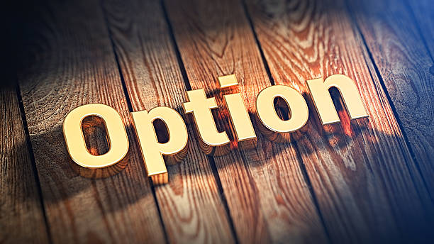 istock Word Option on wood planks 519044420