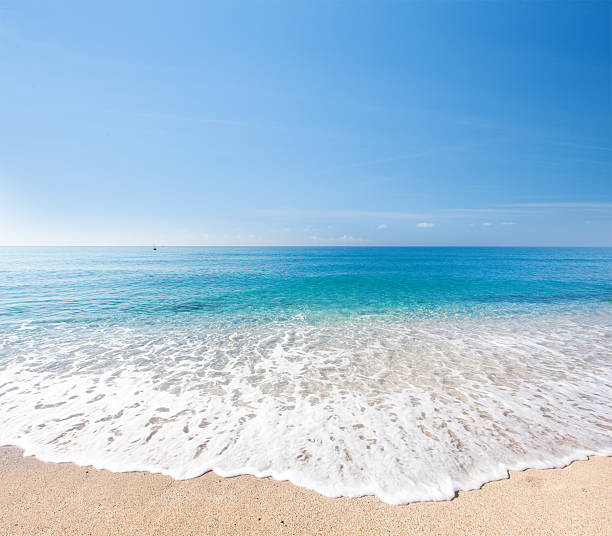 istock beach and tropical sea 519044602