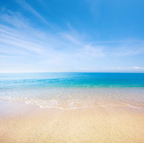 istock beach and tropical sea 519045022