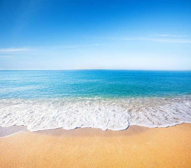 istock beach and tropical sea 519045102