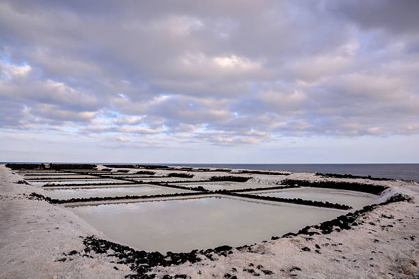 istock Salt Flats in the Canry islands 519046206