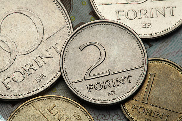 istock Coins of Hungary 519047177