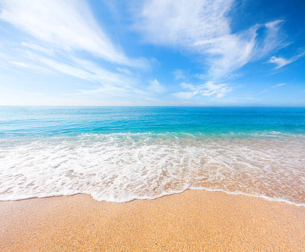 istock beach and tropical sea 519047756